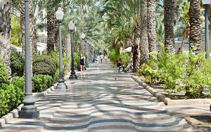 Thumbnail for Alicante in Spring: Climate, Events, and Must-Do Plans